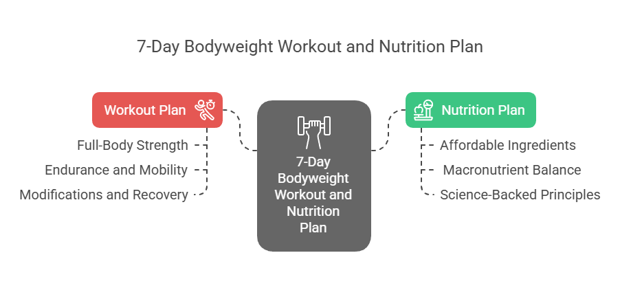 7-Day Bodyweight Workout and Nutrition