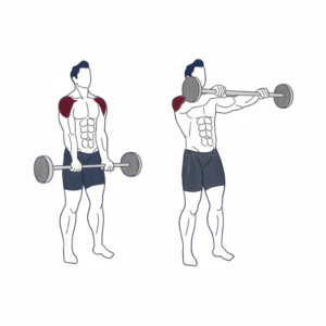 Barbell front raise proper form showing controlled lift to shoulder height with neutral posture