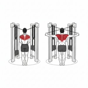 High Cable Rear Delt Fly proper form showing high pulley setup, elbows leading, and controlled rear shoulder contraction
