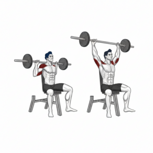 Seated behind the neck barbell shoulder press proper form showing controlled vertical press and stable seated posture
