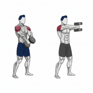 Two-handed dumbbell front raise proper form showing simultaneous controlled lift to shoulder height